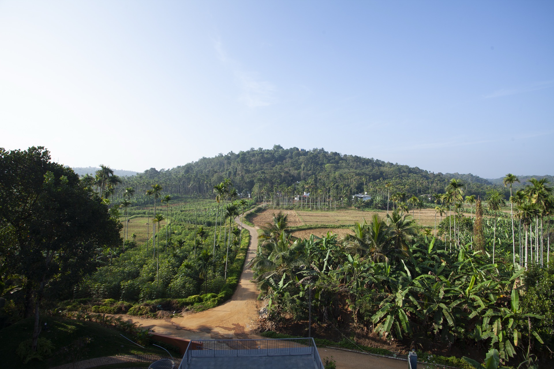 View from the villa exterior